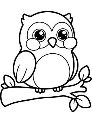 Desenho de Chubby Little Owl on a Tree para colorir e imprimir grátis