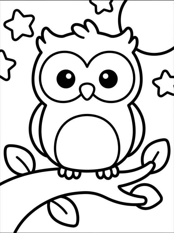 Desenho de Baby Owl on a Branch para colorir e imprimir grátis