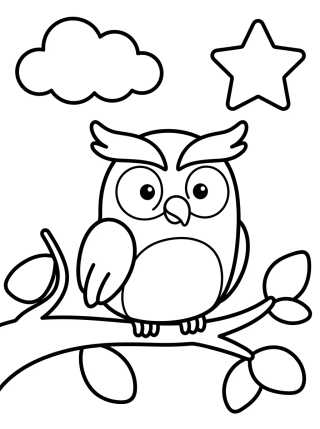 Desenho de Little Owl on a Branch para colorir e imprimir grátis