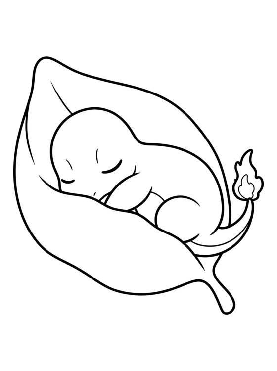 Desenho de Sleeping Baby Charmander para colorir e imprimir grátis