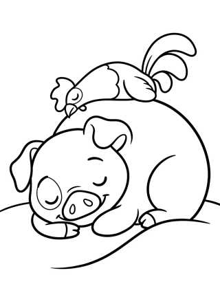 Desenho de Pua Napping with Hei Hei Perched Above para colorir e imprimir grátis